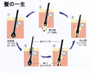{752A4BB4-988A-4CF1-A8AB-E9C5BC87970A:01}
